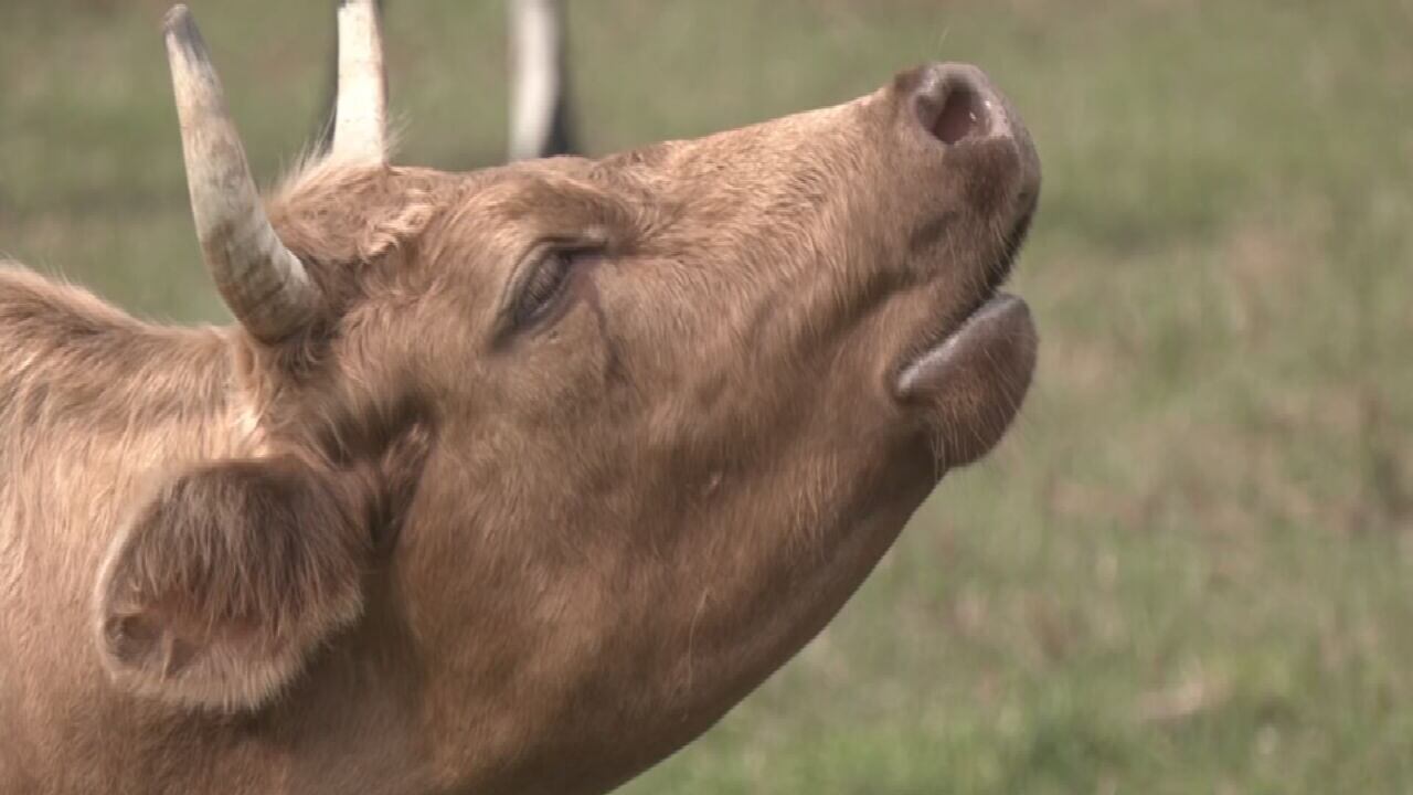 ‘Rural Renaissance’ Plan Backed in Florida Senate