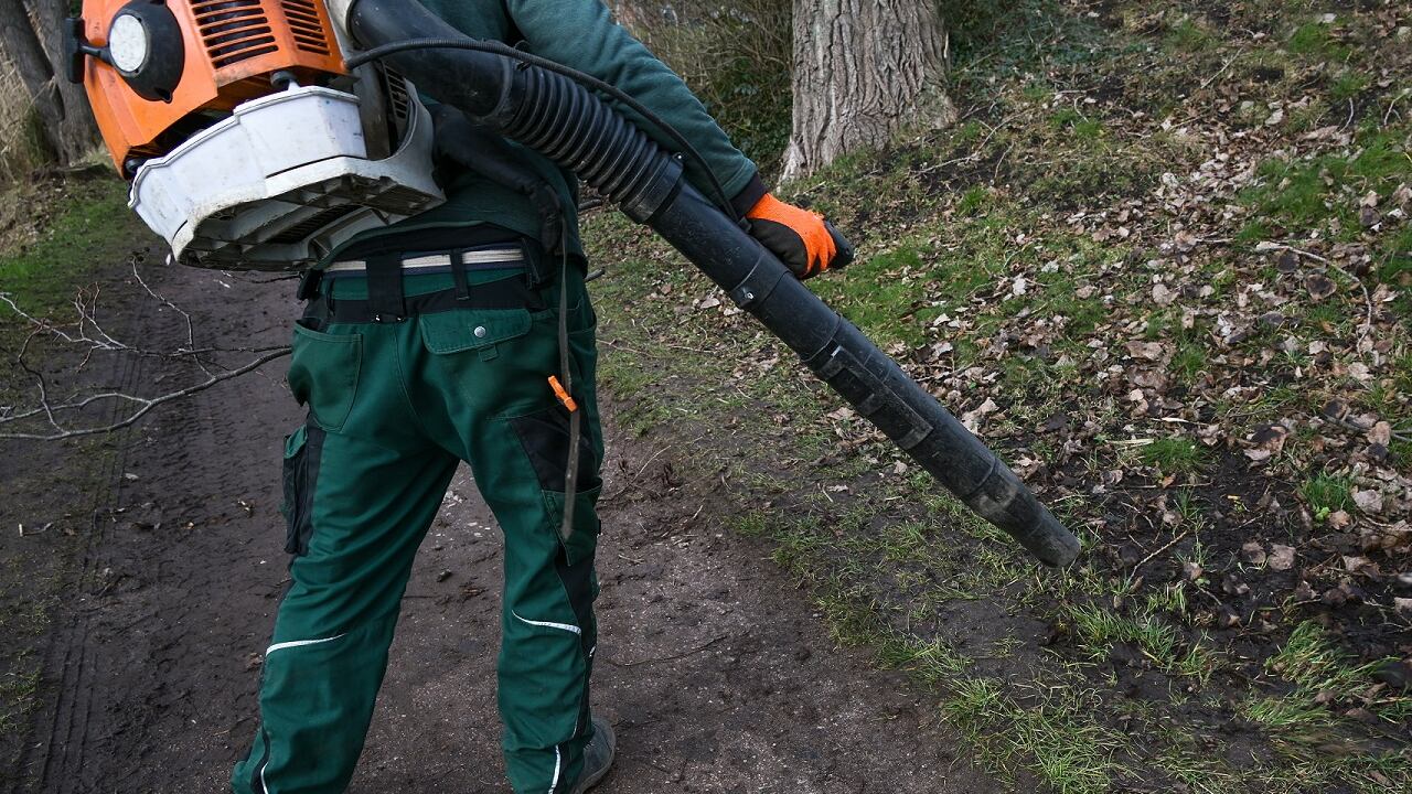 Winter Park voters overturn ban on certain leaf blowers